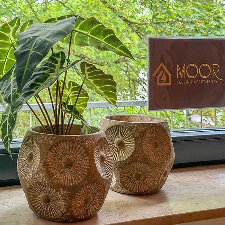 Moor Feeling Apartments วอร์ปสวีเดอ ภายนอก รูปภาพ